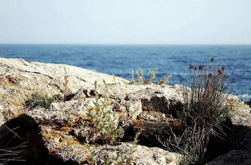 sea, mediterranean sea, nature-162714.jpg